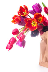 colorful tulips in a paper bag on a white background.
