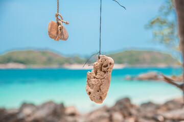 Tourists bring their broken corals to hang from the trees on the beach at Koh Larn, Pattaya, Thailand
