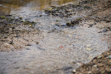The water flows in a creek in the spring