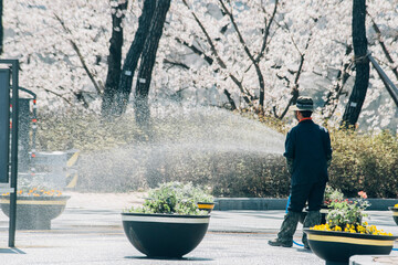 A person who waters plants