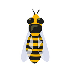 Vector flat design bee illustration isolated on transparent background. Top view of an insect