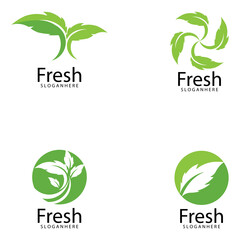 Leaf icon Vector Illustration design Logo template