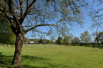 中世イングランドの街　ライ　rye