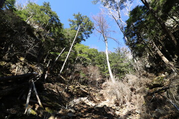 山梨県の瑞牆山の登山