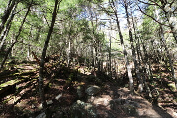 山梨県の瑞牆山の登山