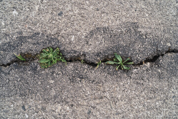 Crack on a concrete ground

