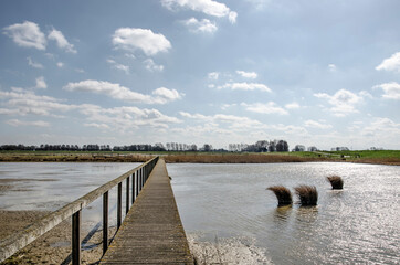 Long wooden pedestrian bridge as part of a hiking path through Wolvenpolder nature reserve near Spijkenissem The Netherlands