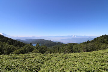 Fototapeta na wymiar 山梨県の大菩薩嶺の登山
