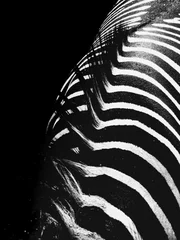 Foto auf Acrylglas Texturen Textur der Zebrahaut