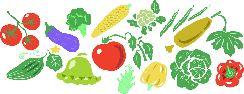 set with vegetables vector hand-drawn illustration. Set of flat icons cabbage tomatoes cucumber eggplant pepper beans zucchini patison silderay cauliflower