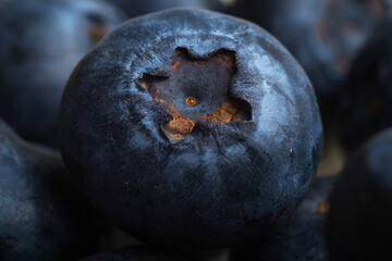 macro photo of ripe blueberries