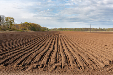 a plowed field on a sunny spring morning