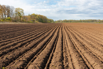 a plowed field on a sunny spring morning