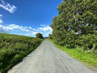 Looking along, Dob Park Lane, with wild plants, old trees, and a blue sky in, Weston, Harrogate, UK