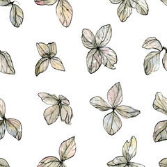 Watercolor illustration of delicate pastel, beige leaves, black-and-white sketch made by hand. Elegant dried flowers isolated on a white background.