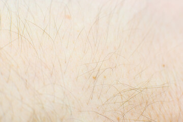 Human skin with hairs texture background. Macro photo, close up.