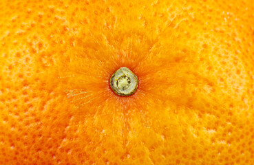 Close up photo of Grapefruit peel texture. Exotic ripe fruit background, macro view. .Human skin...