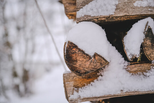 The wood under the snow, Cornimont, Vosges. France