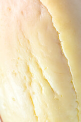 Natural wooden texture of bone avocado. Beige eco background. Close up.