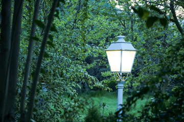 a white lamppost of warm light among green trees and green plants in the evening of a summer day