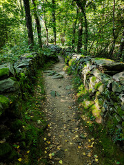 Obraz premium Dry stone wall in Dunzio, Vallemaggia, Switzerland