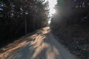 Obraz premium dirt road in the Sierra Nevada mountain