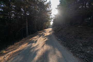 dirt road in the Sierra Nevada mountain