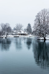 Fototapeta premium river in winter
