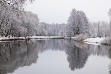 winter forest, snowy nature. Cold winter. Russian forest. December. January. February.