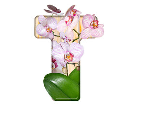 The letter T is made from an orchid