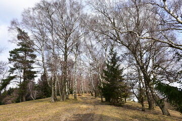 Nature reserve Plosciny in moravian region