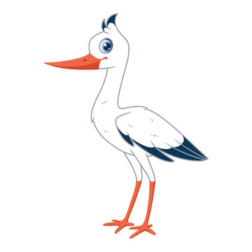 Character stork stands on white background. Vector cartoon illustration