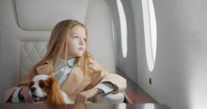 Portrait of cute preteen girl travelling with cocker spaniel dog by commercial airplane