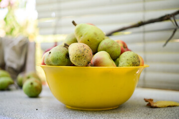 Many ripe pears in a plate