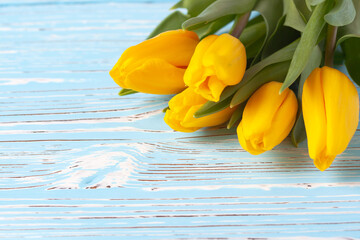 Bright yellow tulips on a blue wooden background