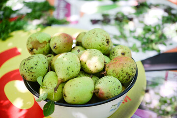 Many ripe pears in a plate