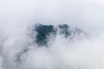 Mountain forest with white clouds or fog at morning time