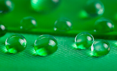 A drops of water dew on a fluffy green feather close up macro