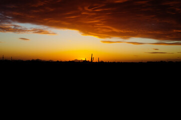 Desert sunset