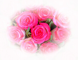 colorful flowers closeup with white frame background