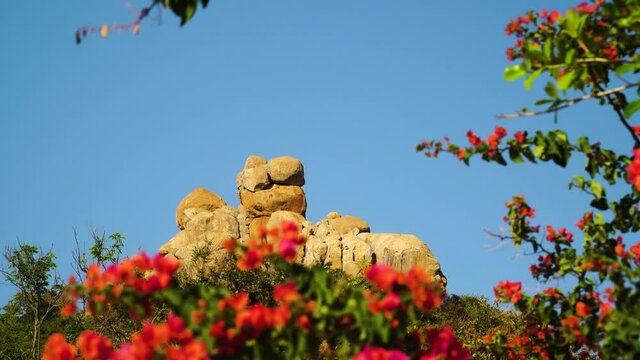 Majestic rock on Hang Rai coast in Vietnam surrounded by red flowers