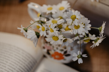 Bouquet daisies in a white vase. Large bouquet of field chamomiles in a vase on a sunset background. Grass flowers, Daisy flowers, Book background