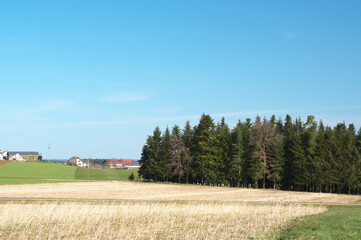 landschaft mit wiese, wald und blauem himmel
