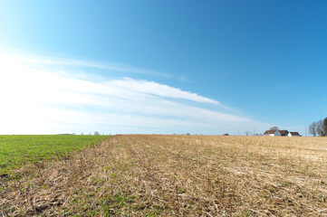 landschaft mit wiese, wald und blauem himmel