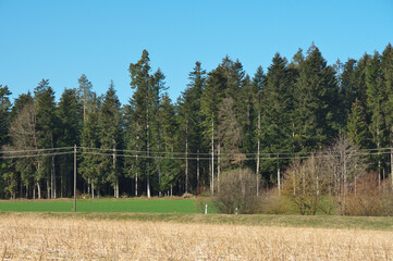 landschaft mit wiese, wald und blauem himmel