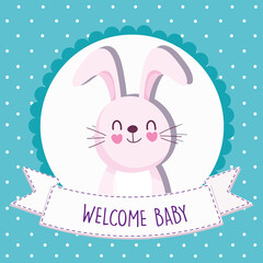 baby shower rabbit