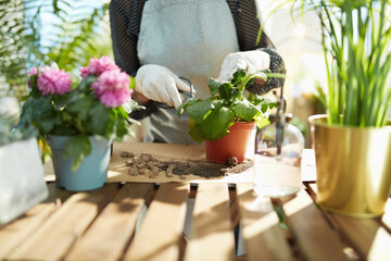 Housewife in rubber gloves in house in sunny day do gardening
