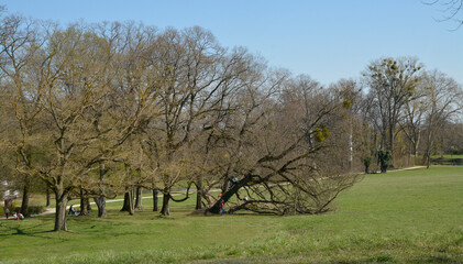 Obraz premium schlosspark worms-herrnsheim