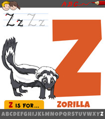 letter Z from alphabet with cartoon zorilla animal character