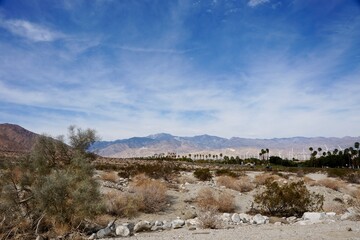 Wind farm outside Palm Springs